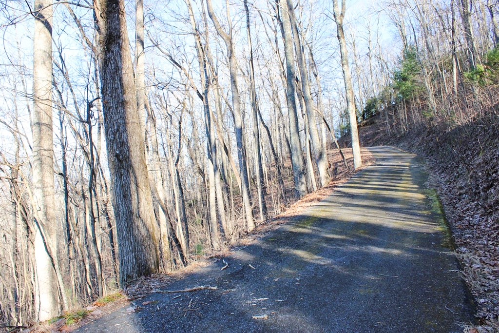 0 Buckhead Hills Hiawassee, GA 30546 - Photo 30 of 57