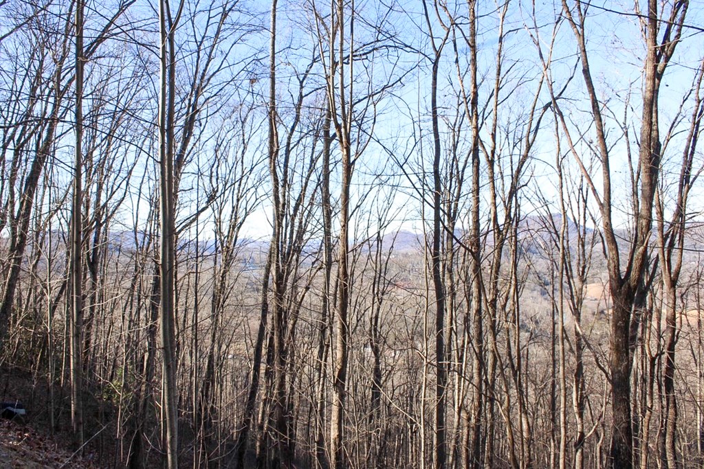 0 Buckhead Hills Hiawassee, GA 30546 - Photo 31 of 57