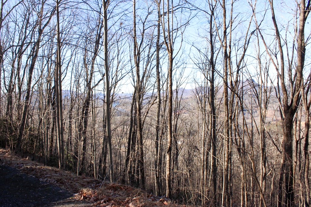 0 Buckhead Hills Hiawassee, GA 30546 - Photo 32 of 57