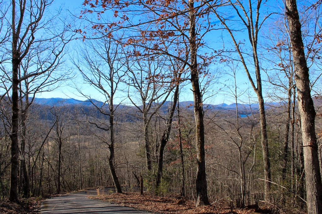 0 Buckhead Hills Hiawassee, GA 30546 - Photo 33 of 57