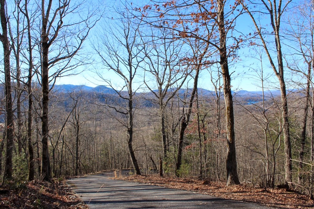 0 Buckhead Hills Hiawassee, GA 30546 - Photo 34 of 57