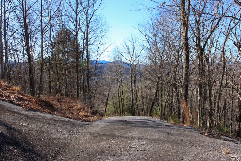 0 Buckhead Hills Hiawassee, GA 30546 - Photo 36 of 57