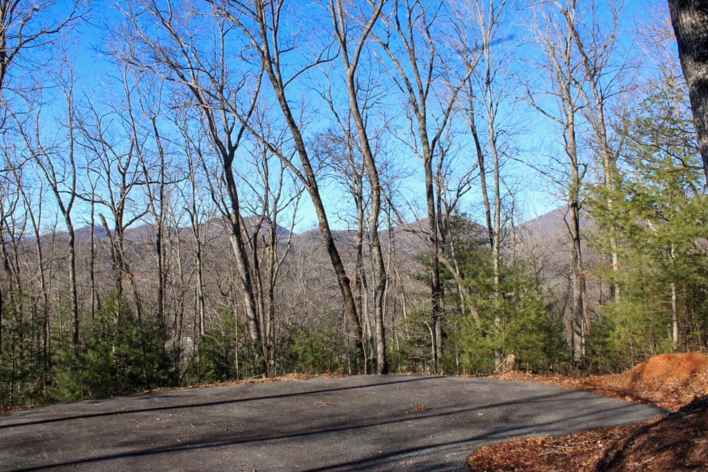 0 Buckhead Hills Hiawassee, GA 30546 - Photo 37 of 57