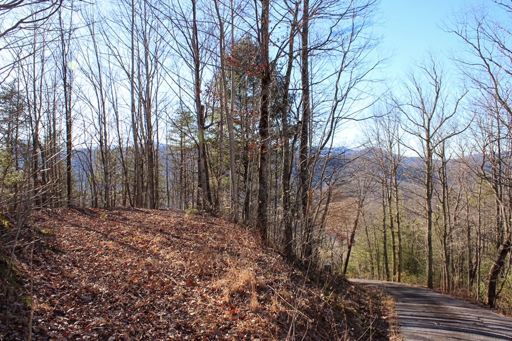 0 Buckhead Hills Hiawassee, GA 30546 - Photo 38 of 57