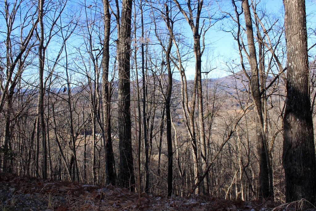 0 Buckhead Hills Hiawassee, GA 30546 - Photo 39 of 57