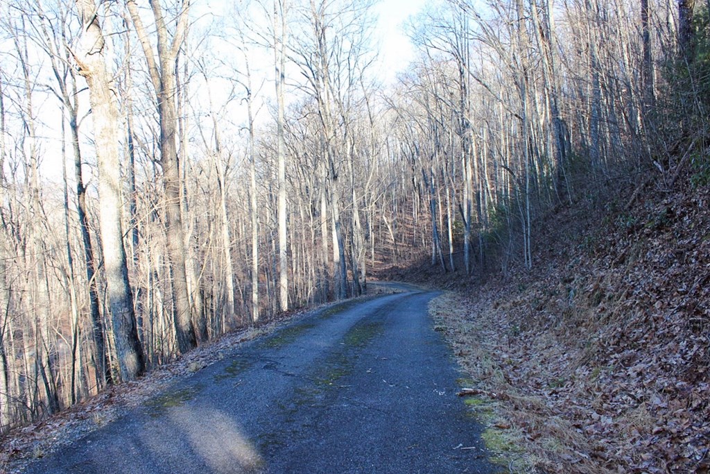 0 Buckhead Hills Hiawassee, GA 30546 - Photo 40 of 57