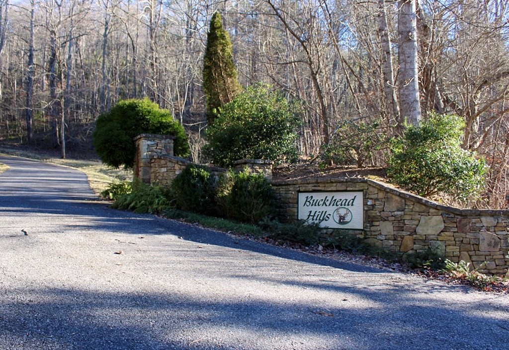 0 Buckhead Hills Hiawassee, GA 30546 - Photo 4 of 57