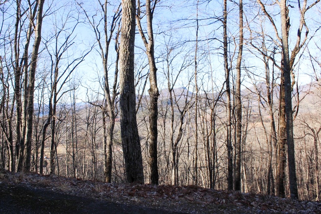 0 Buckhead Hills Hiawassee, GA 30546 - Photo 41 of 57