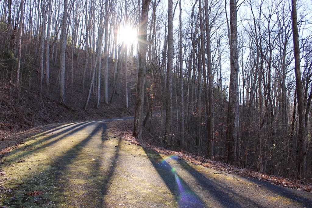 0 Buckhead Hills Hiawassee, GA 30546 - Photo 42 of 57