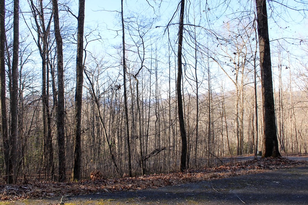 0 Buckhead Hills Hiawassee, GA 30546 - Photo 44 of 57