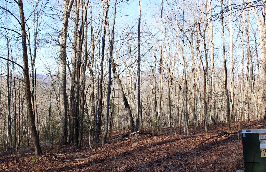 0 Buckhead Hills Hiawassee, GA 30546 - Photo 45 of 57