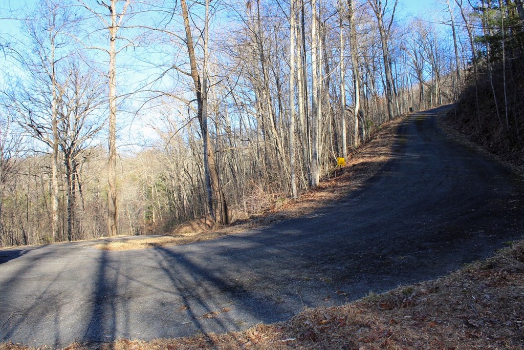 0 Buckhead Hills Hiawassee, GA 30546 - Photo 46 of 57