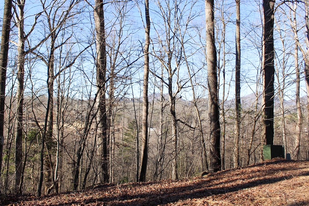 0 Buckhead Hills Hiawassee, GA 30546 - Photo 47 of 57