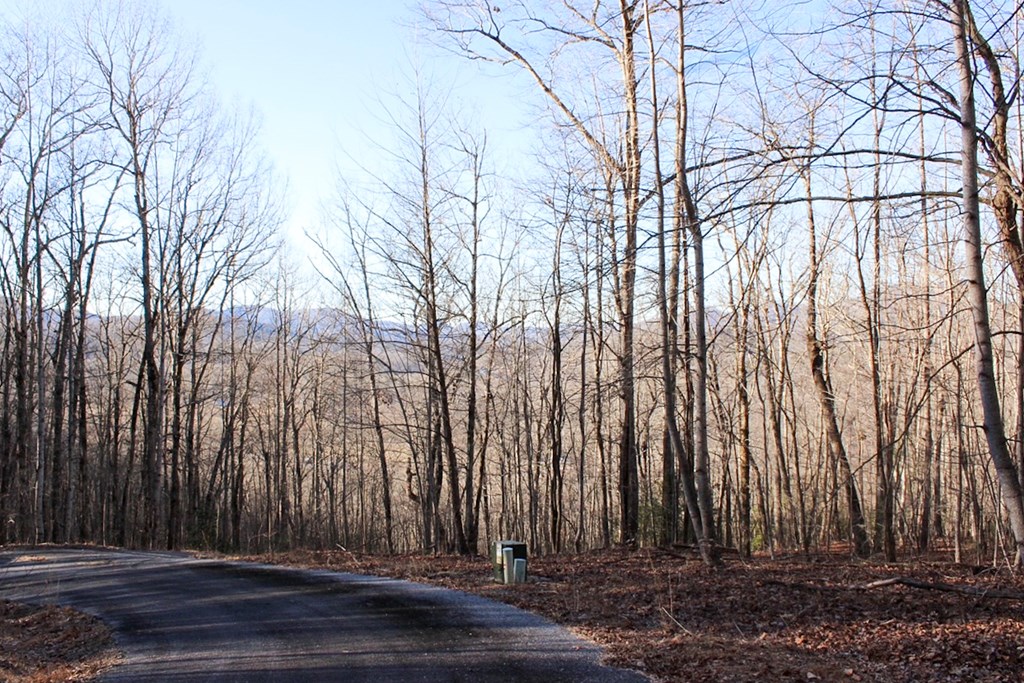 0 Buckhead Hills Hiawassee, GA 30546 - Photo 48 of 57