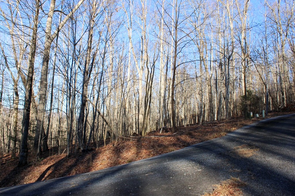 0 Buckhead Hills Hiawassee, GA 30546 - Photo 50 of 57