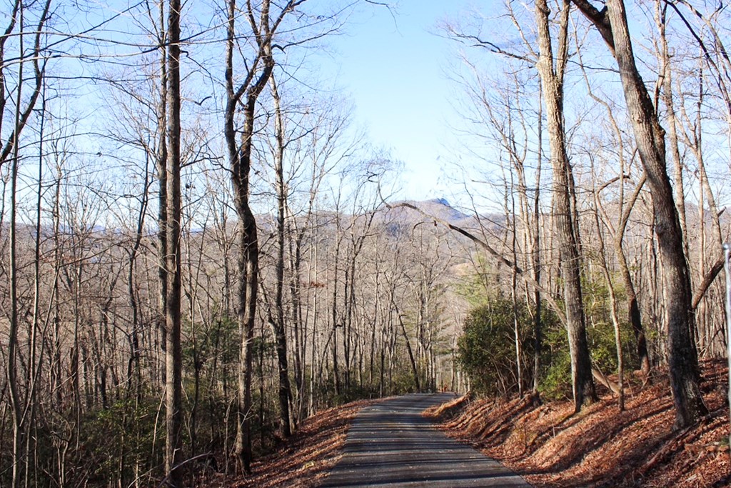 0 Buckhead Hills Hiawassee, GA 30546 - Photo 51 of 57