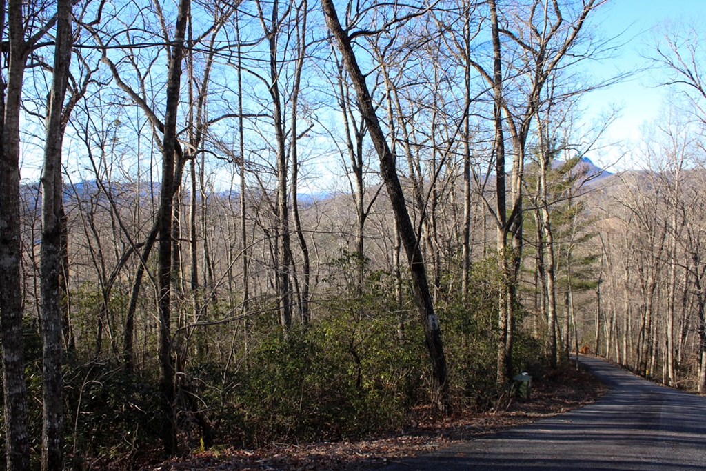 0 Buckhead Hills Hiawassee, GA 30546 - Photo 52 of 57