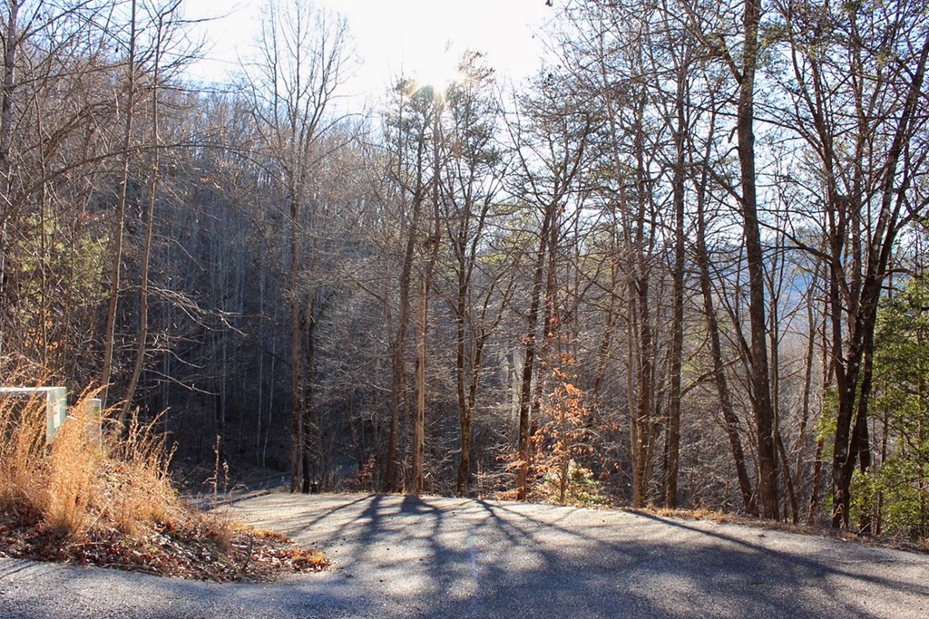 0 Buckhead Hills Hiawassee, GA 30546 - Photo 55 of 57