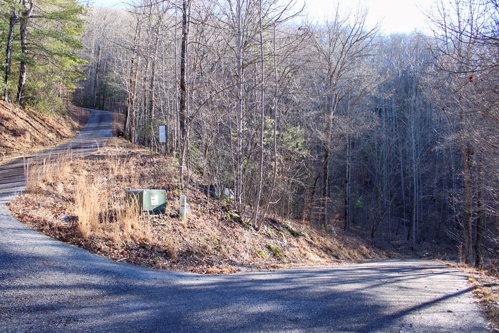 0 Buckhead Hills Hiawassee, GA 30546 - Photo 56 of 57