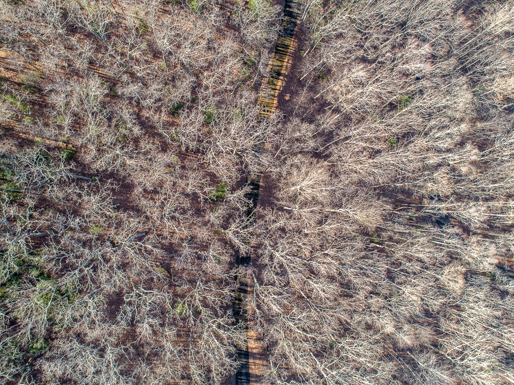 0 Buckhead Hills Hiawassee, GA 30546 - Photo 7 of 57