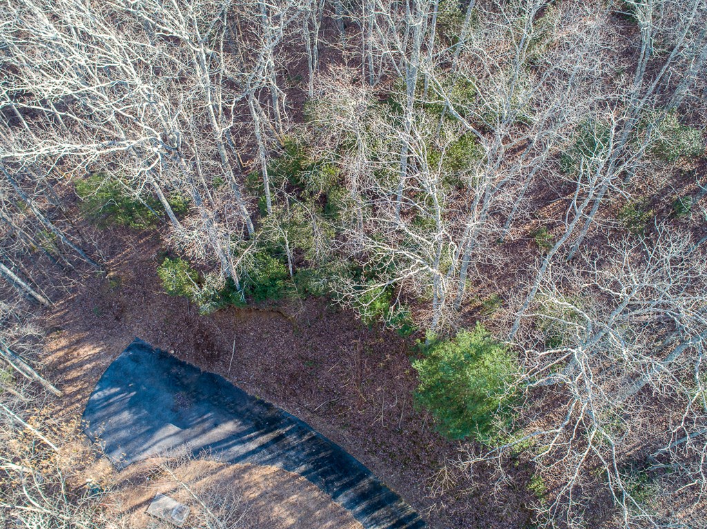 0 Buckhead Hills Hiawassee, GA 30546 - Photo 9 of 57