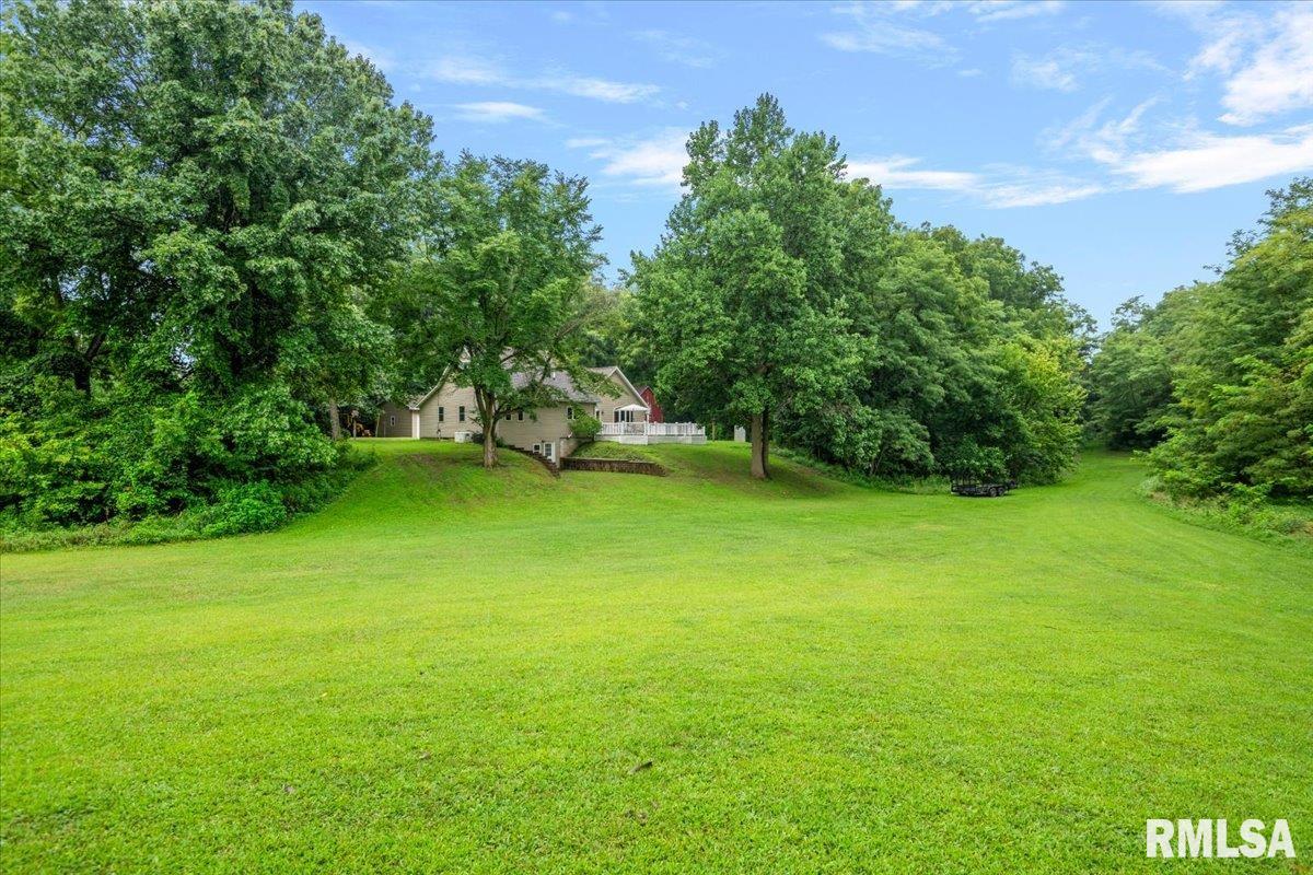 7507 Clayton Road Virginia, IL 62691 - Photo 55 of 61 Gallery Image 55