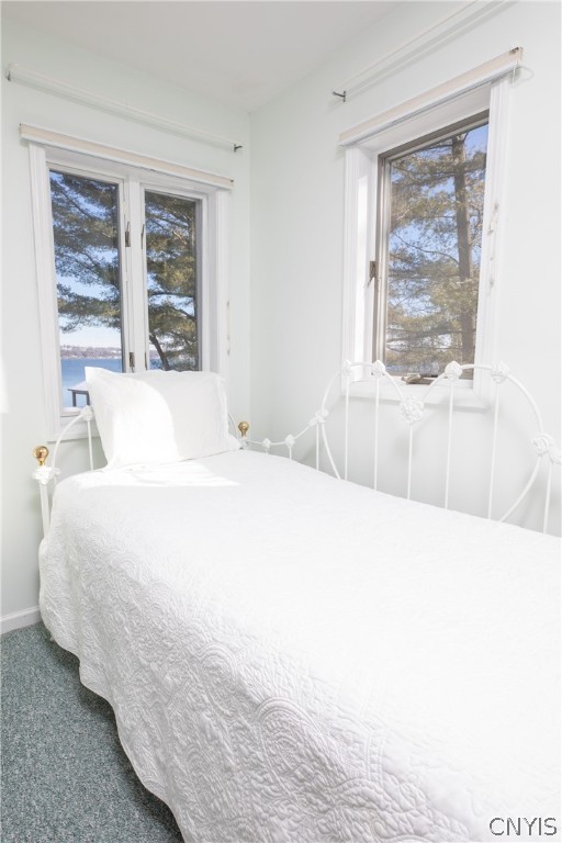 1916 West Lake Road Skaneateles, NY 13152 - Photo 27 of 30