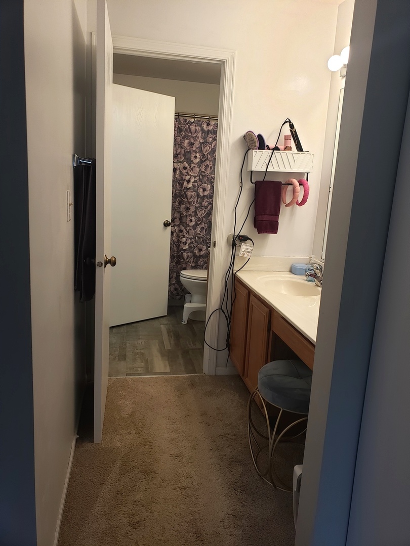 524 Sandhurst Lane South Elgin, IL 60177 - Photo 14 of 32 a bathroom with a sink toilet and mirror