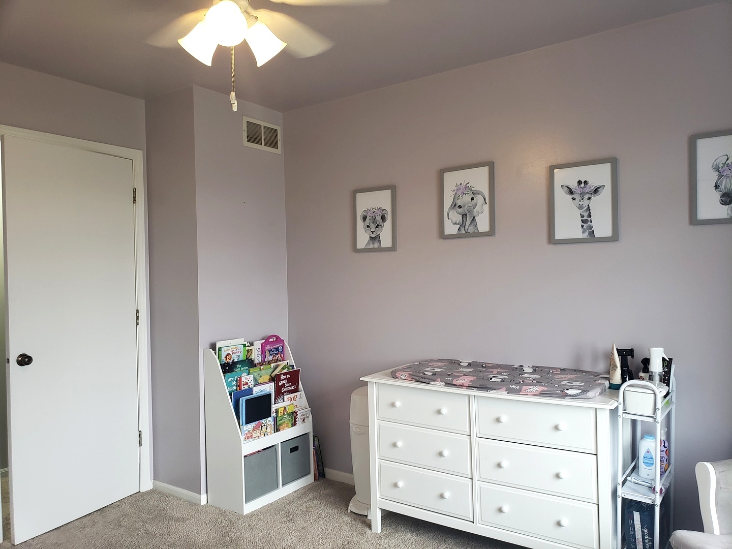 524 Sandhurst Lane South Elgin, IL 60177 - Photo 19 of 32 a room with storage and utility