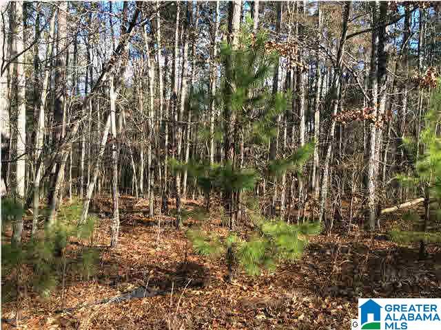 22 Bells Lane, Unit 22 Springville, AL 35146 - Photo 5 of 5