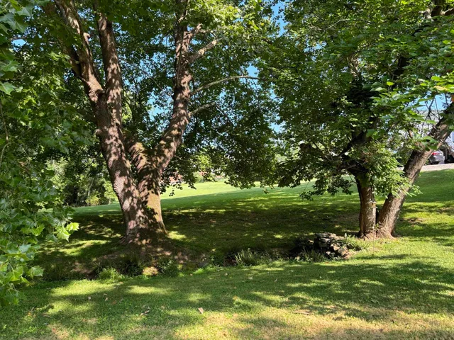 $369,900 | 115 Spring Street, Rocky Mount, VA 24151