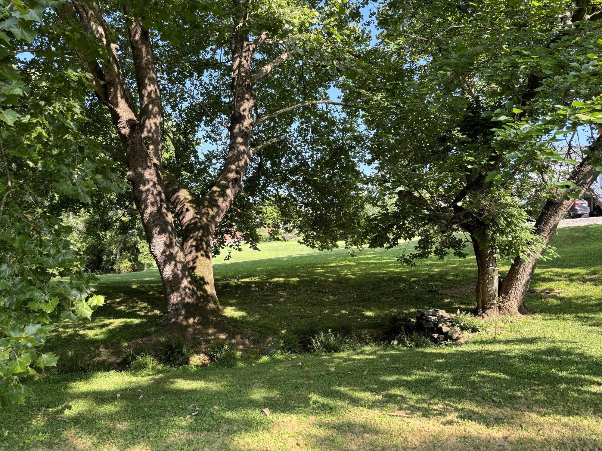 115 Spring Street Rocky Mount, VA 24151 - Photo 45 of 66 IMG_5543