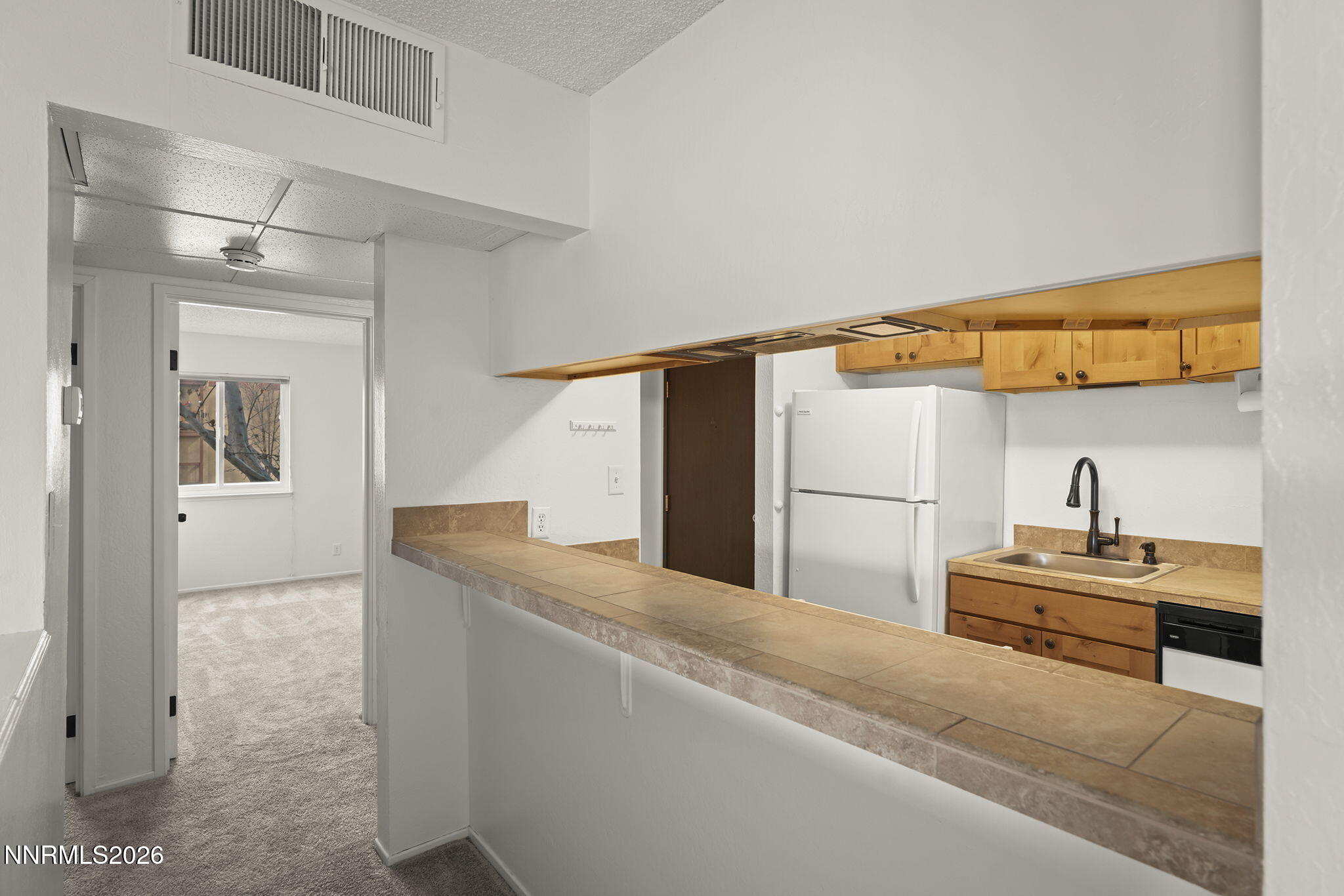 1000 Beck Drive, Unit 250 Reno, NV 89509 - Photo 3 of 22 3-web-or-mls-_DSC1113