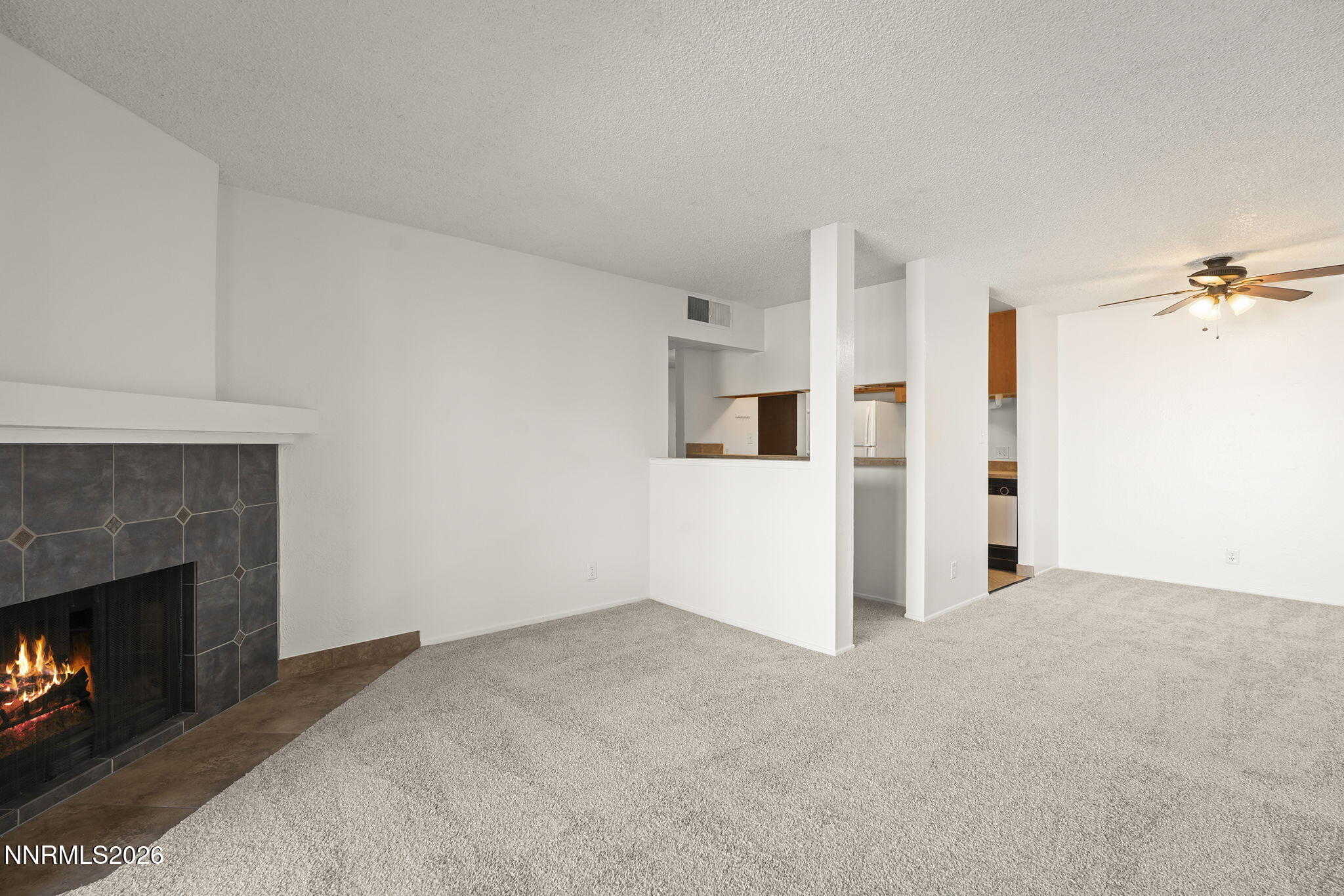 1000 Beck Drive, Unit 250 Reno, NV 89509 - Photo 10 of 22 10-web-or-mls-_DSC1064