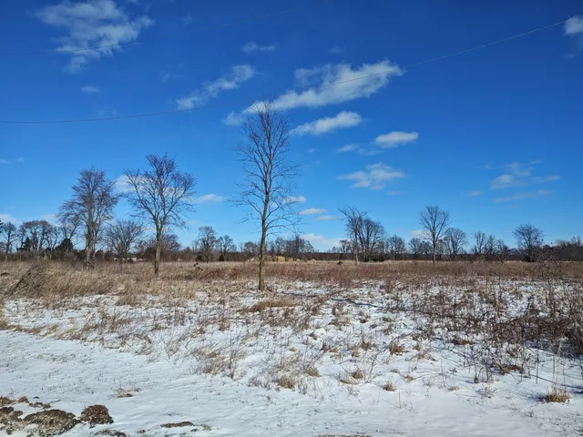 a view of a yard with a house