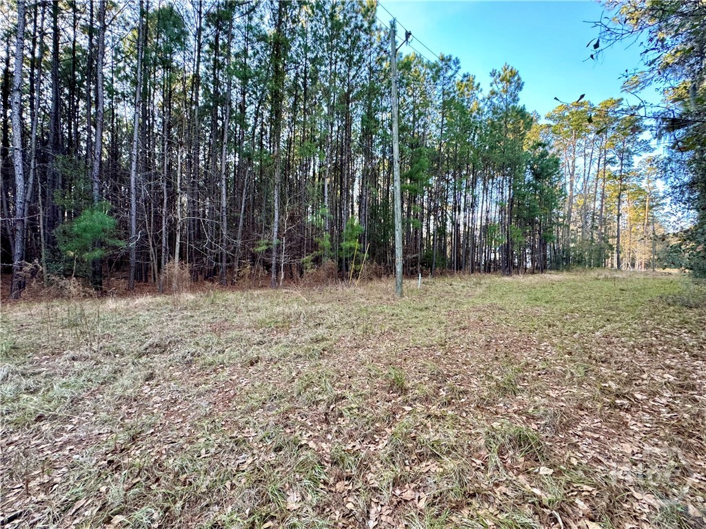 2205 Grove Point Road Savannah, GA 31419 - Photo 2 of 13