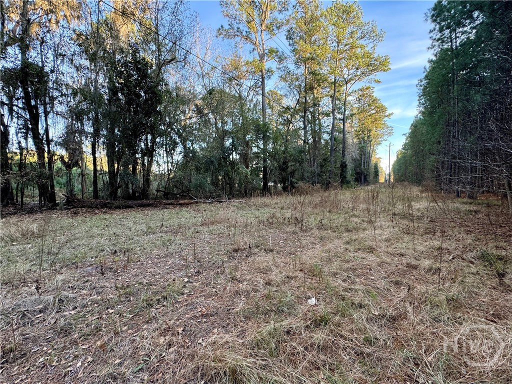 2205 Grove Point Road Savannah, GA 31419 - Photo 3 of 13