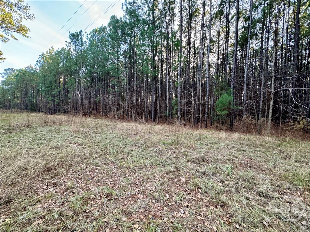 2205 Grove Point Road Savannah, GA 31419 - Photo 4 of 13