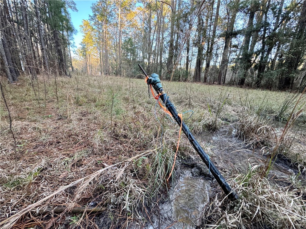 2205 Grove Point Road Savannah, GA 31419 - Photo 9 of 13