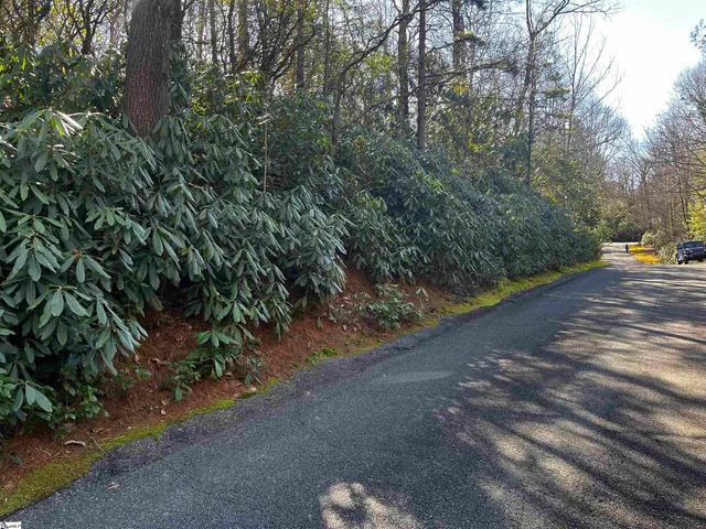 $30,000 | 116 Hemlock Trail, Unit LOT 182, Cleveland, SC 29635