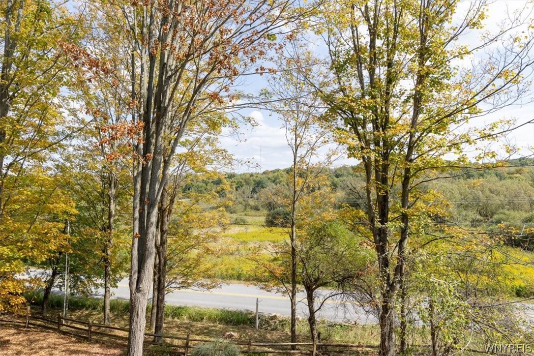 8540 Hayes Hollow Road Colden, NY 14033 - Photo 9 of 23
