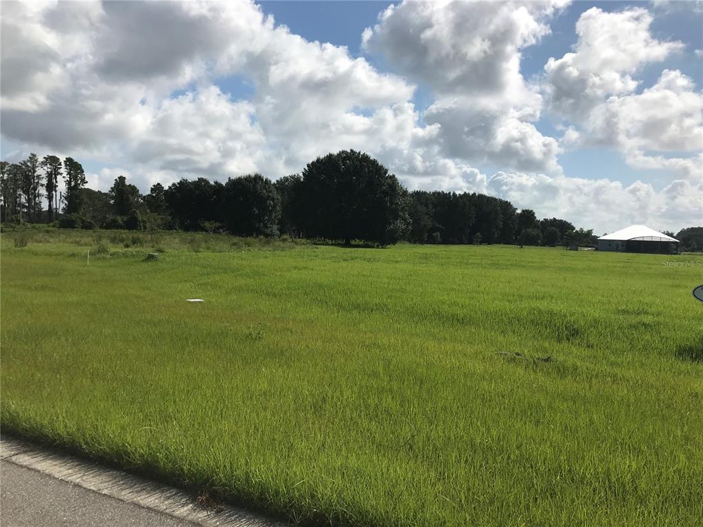 6036 Pretty Ranch Road Groveland, FL 34736 - Photo 1 of 1 Gallery Image 1