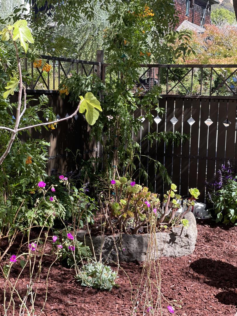 2614 Etna Street Berkeley, CA 94704 - Photo 55 of 59