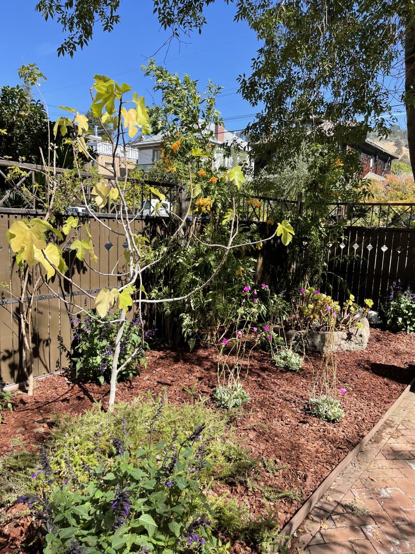 2614 Etna Street Berkeley, CA 94704 - Photo 57 of 59 a view of outdoor space and yard