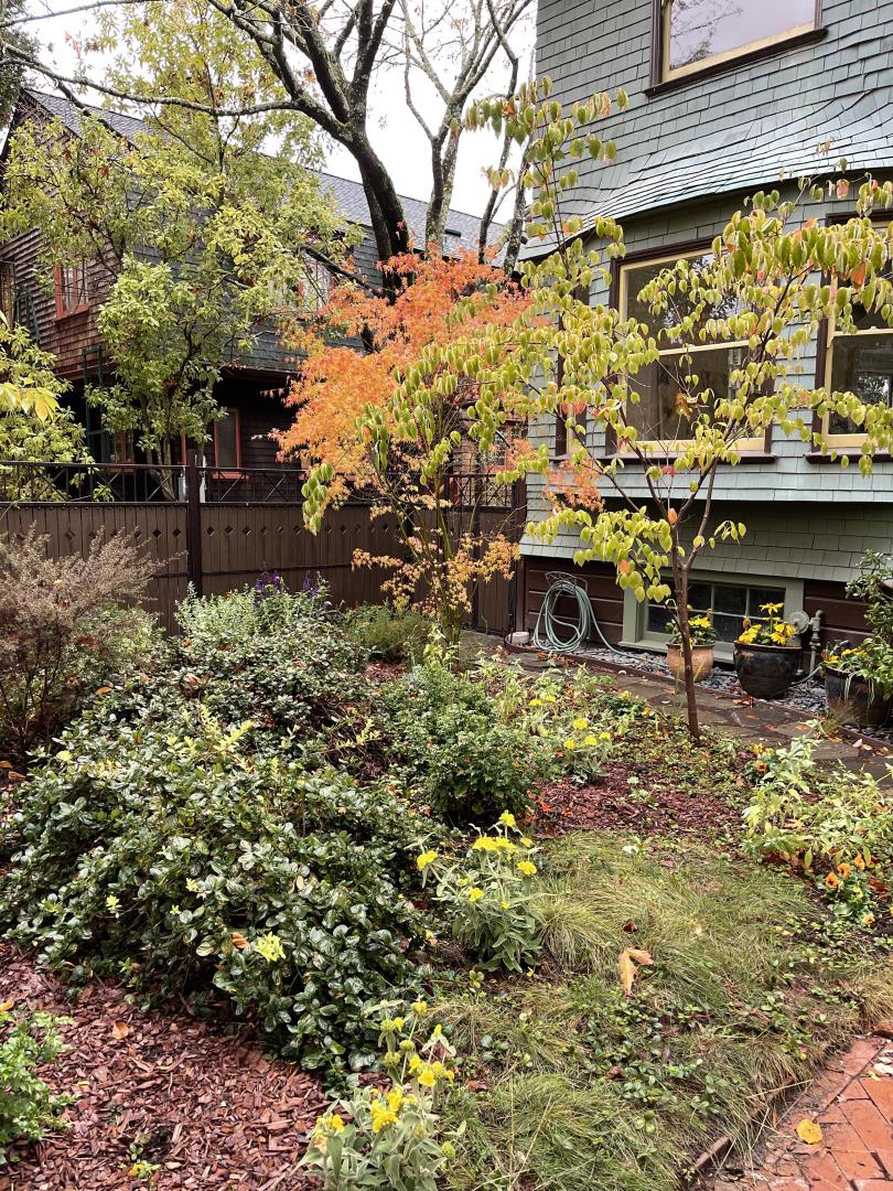 2614 Etna Street Berkeley, CA 94704 - Photo 6 of 59