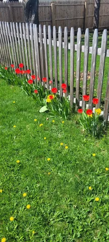 $269,900 | 23 Countryside Avenue, Berlin, NH 03570