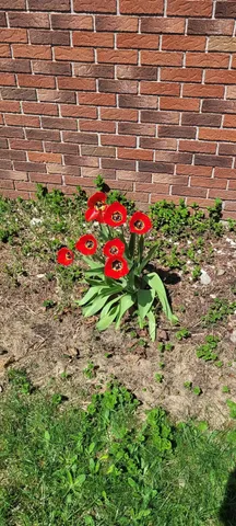 $269,900 | 23 Countryside Avenue, Berlin, NH 03570