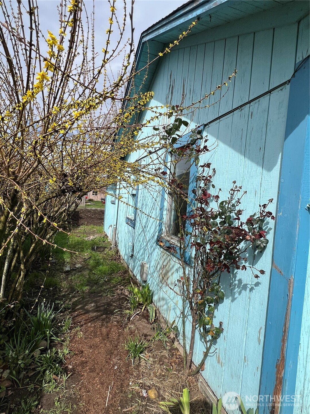 131 17th Avenue Longview, WA 98632 - Photo 28 of 38 a view of a backyard