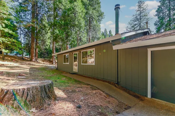 a view of a backyard with plants and large tree