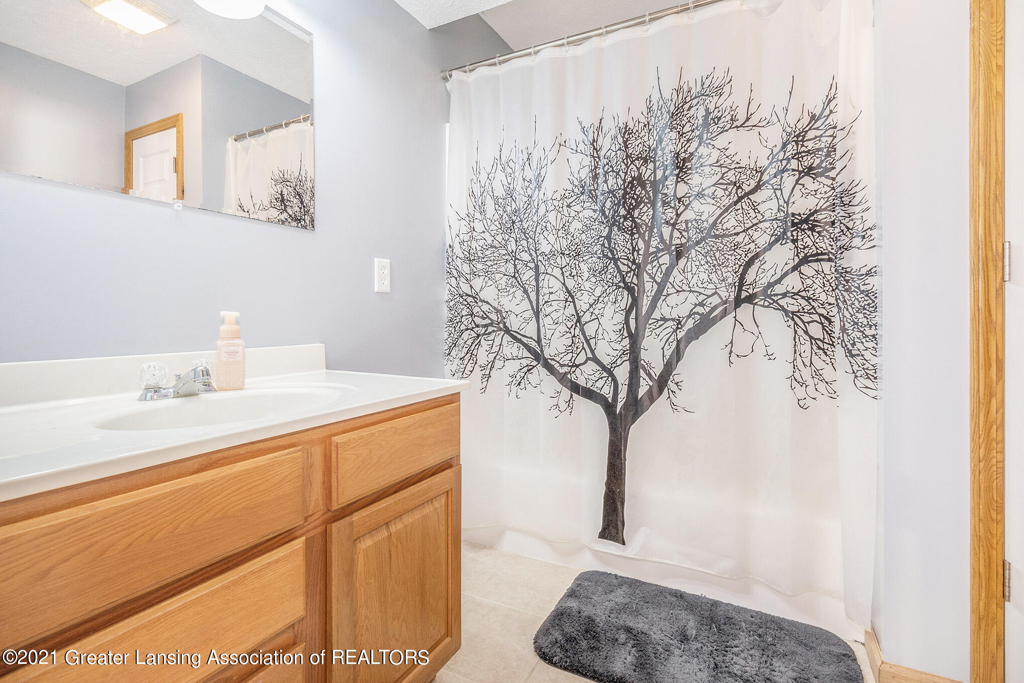 6360 Macadam Way Dimondale, MI 48821 - Photo 24 of 28 Lower level bathroom